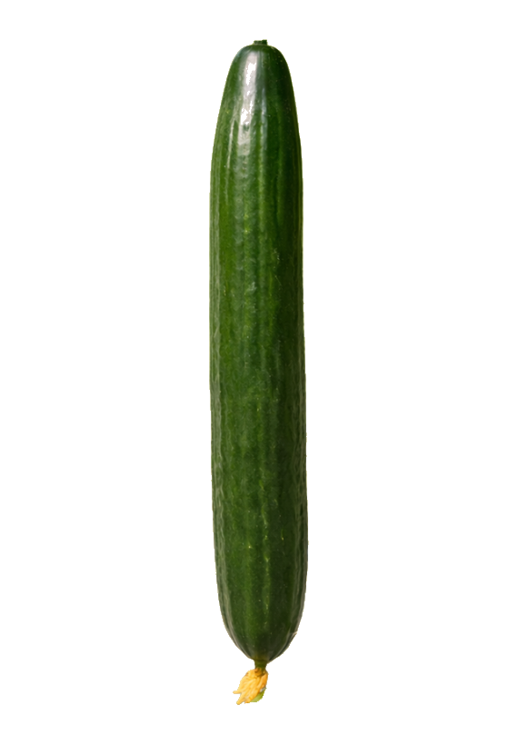 Pepino Europeo